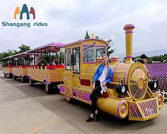 Big adults travel sightseeing train ride