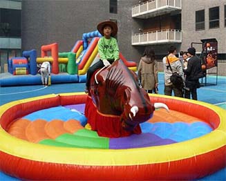 Fun inflatable mechanical bull and penis ride for sale